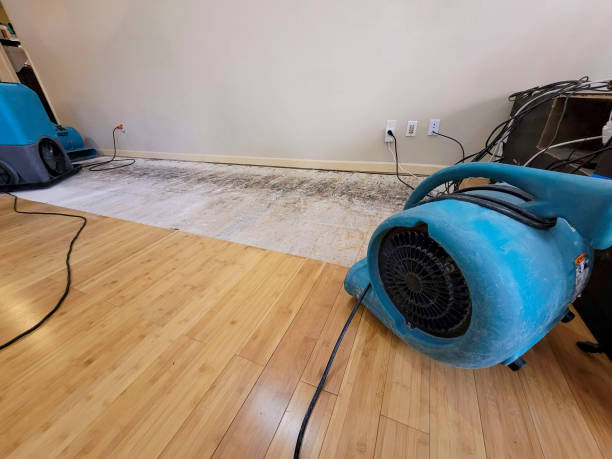 Professional Flood Damage Cleanup technician working in Baldwin, WI